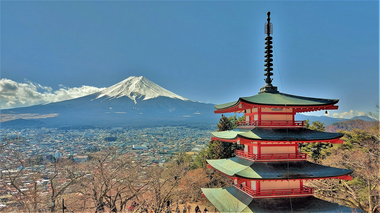 Japan Tour